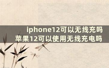 iphone12可以无线充吗 苹果12可以使用无线充电吗